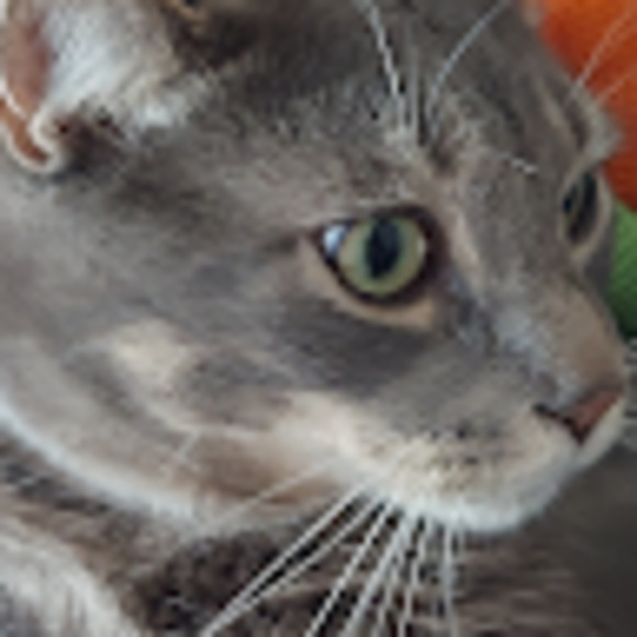 Meet your Posher, James - Picture 1 of 1